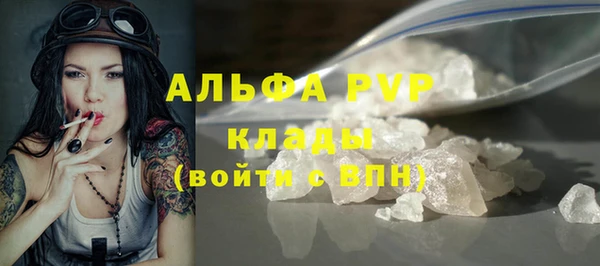 стафф Алексин