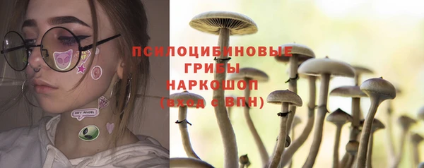 амф Алзамай