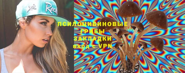 стафф Алексин