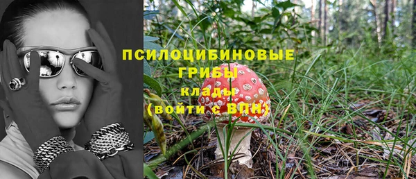 стафф Алексин