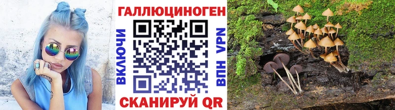 Псилоцибиновые грибы ЛСД  нарко площадка телеграм  Асино  хочу наркоту 