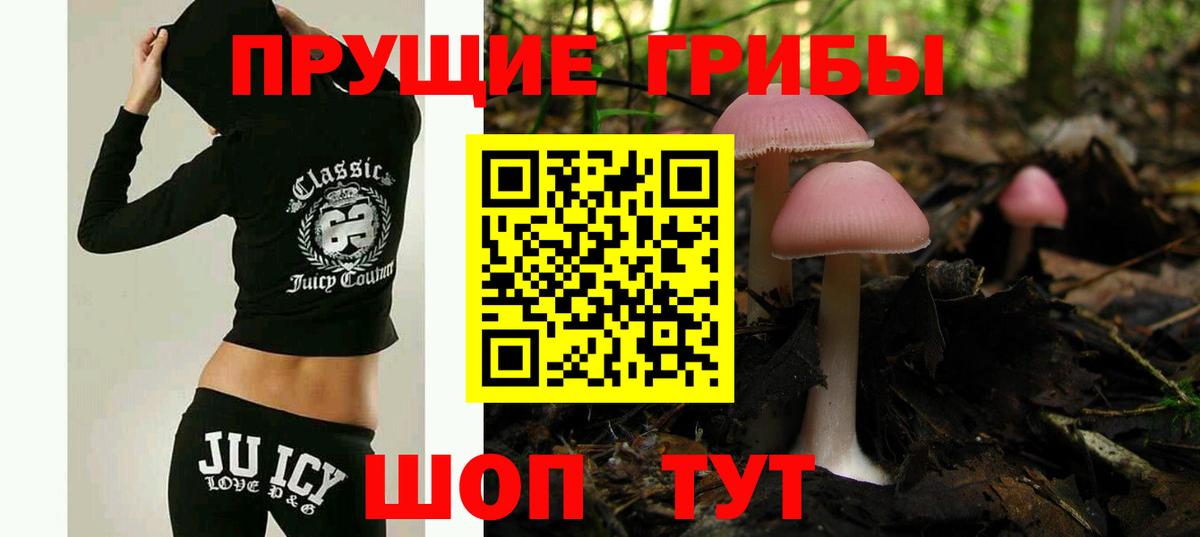 Галлюциногенные грибы мухоморы Асино