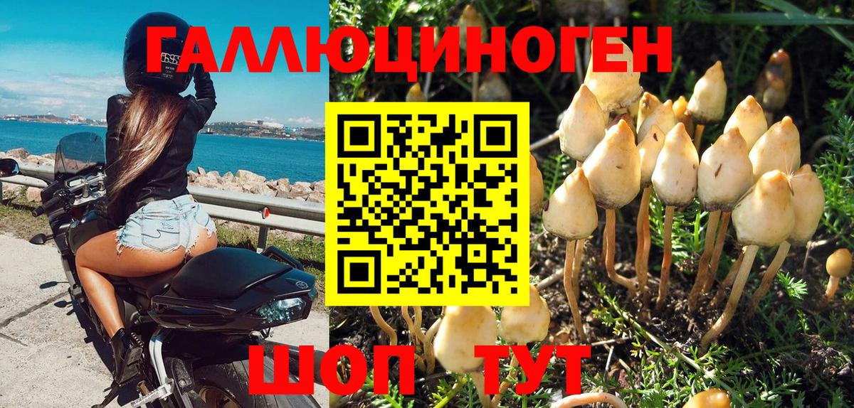 Галлюциногенные грибы прущие грибы  Вход с VPN  Асино 